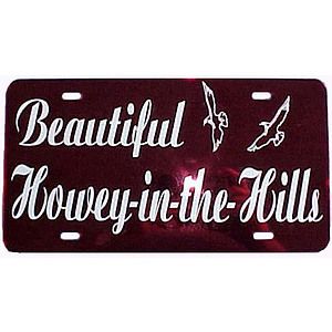 Custom Cut Vinyl Mirror License Plate