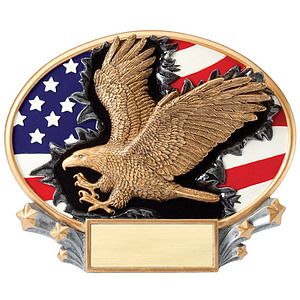 Eagle Xplosion Oval Resin Award