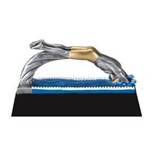Swimmer Male Motion Xtreme Figure Award