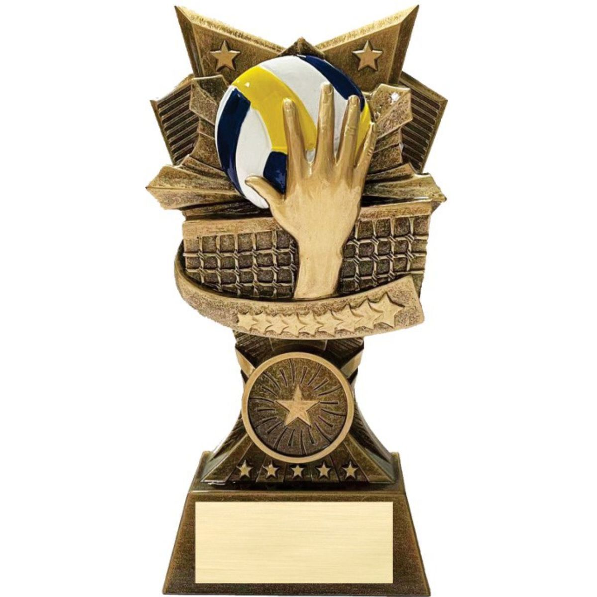 Pickleball 3D Design Resin Award
