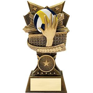 Pickleball 3D Design Resin Award