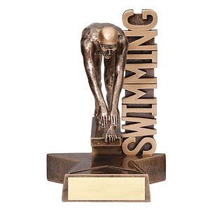 6 1/2" Tall Swimming Male Billboard Resin Award