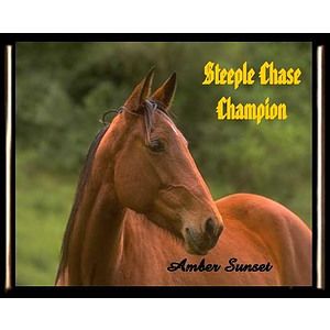7" x 9" Full Color Dye Sublimated Black Edge Plaque