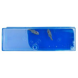Shark Wave Paperweight