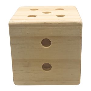 Giant Dice Pen Holder