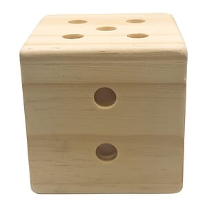 Giant Dice Pen Holder
