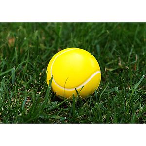 Tennis Ball Stress Reliever