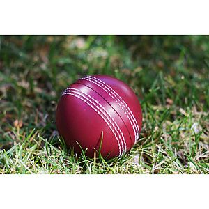 Cricket Ball Stress Reliever