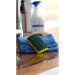 Kitchen Sponge Stress Reliever