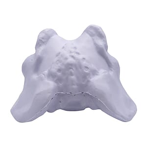 Hip Bone Stress Reliever