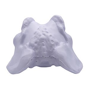 Hip Bone Stress Reliever