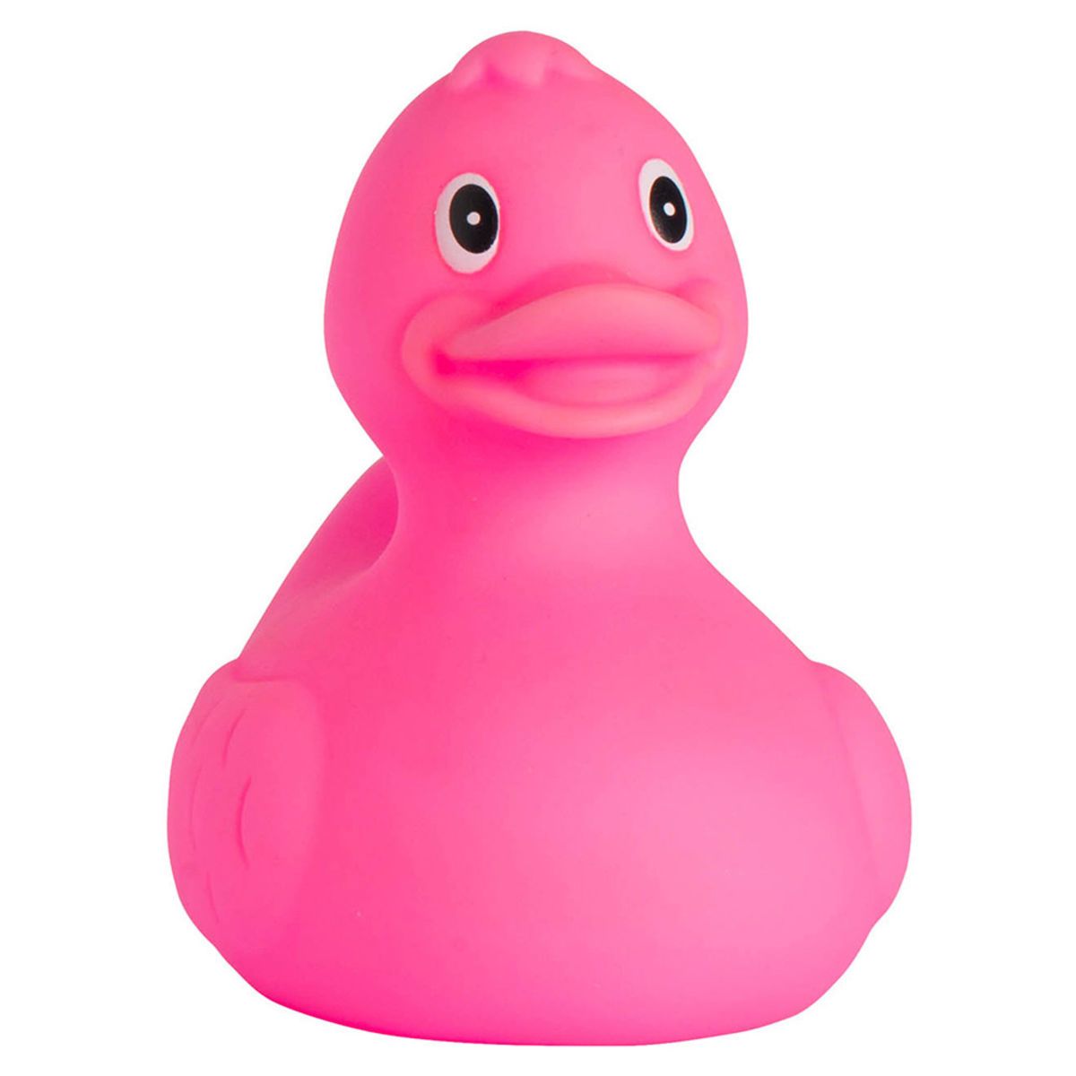 Matte Duck