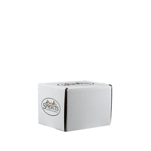 Mailing Box, B-Flute5" x 4" x 4" - White - B - 080 sq in