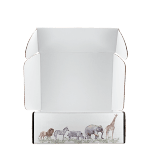 Mailing Box, B-Flute11" x 9" x 4" - White - E - 396 sq in