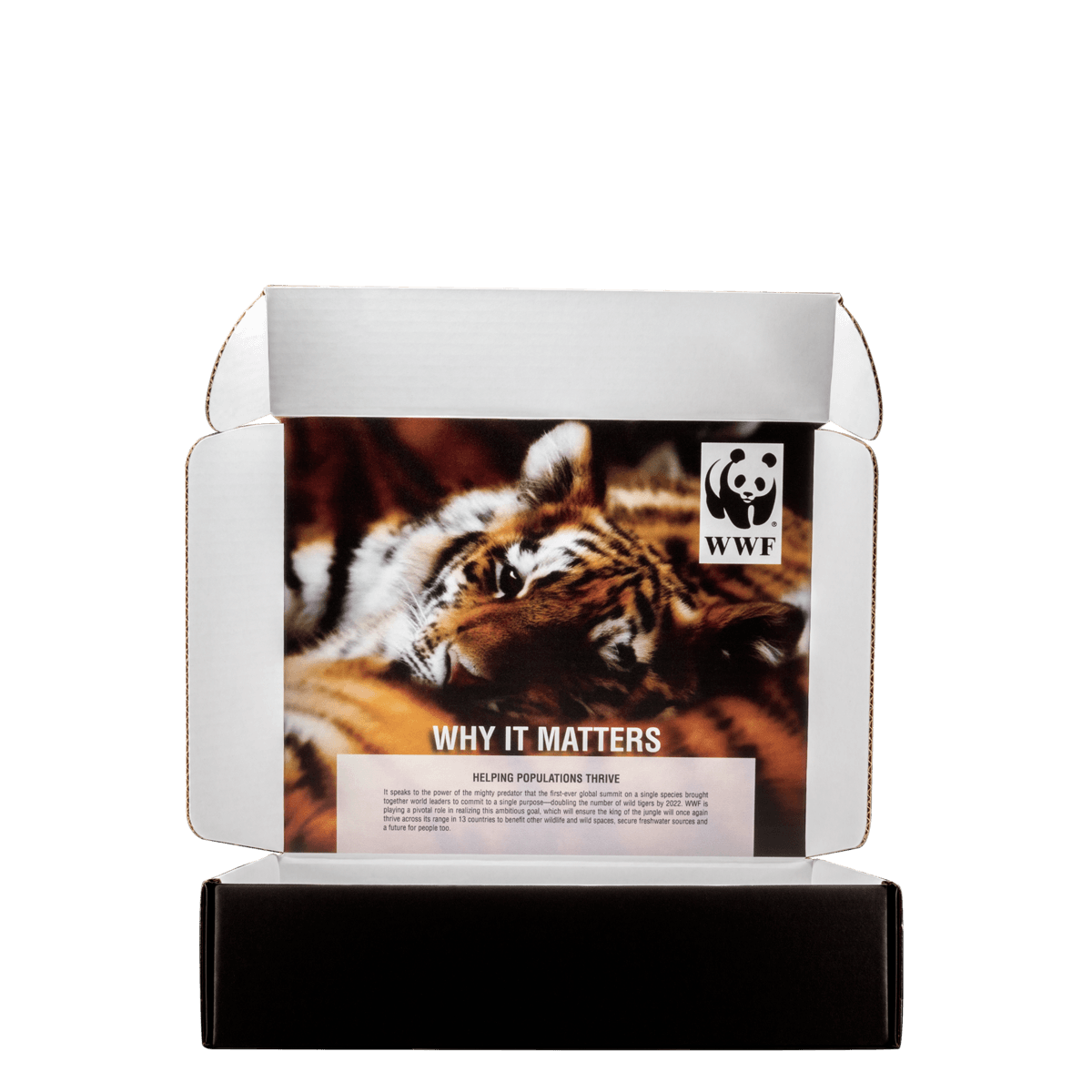 Mailing Box, B-Flute12" x 10" x 3" - White - D - 360 sq in