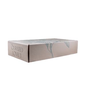 Mailing Box, B-Flute18" x 10" x 4" - White - F - 720 sq in