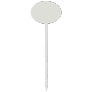 4" Oval Plastic Food Pik - White