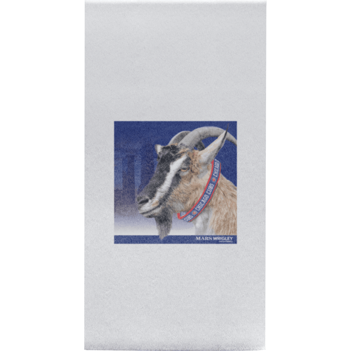 Almost Linen Guest Towel - White