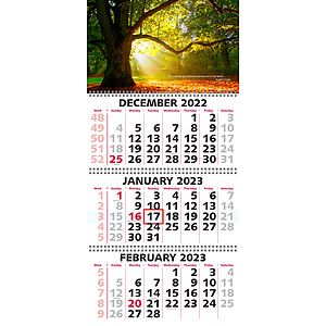 Three Month View Wire-O Bound Wall Calendar