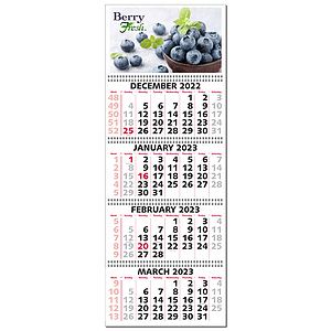 4 Month to View Wall Calendar