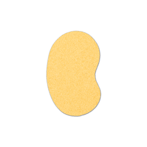 Kidney Compressed Sponge