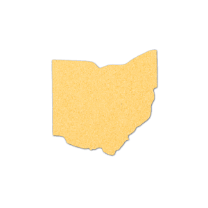 Ohio Compressed Sponge