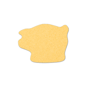 Piggy Bank Compressed Sponge 4PG