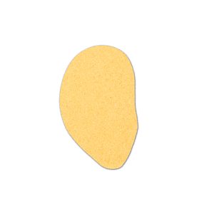 Ear Compressed Sponge 5ER