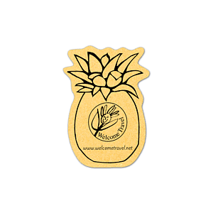 Pineapple Compressed Sponge