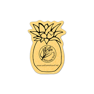 Pineapple Compressed Sponge