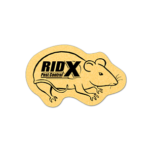 Rat/mouse Compressed Sponge