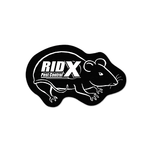 Rat/Mouse Rubber Jar Opener