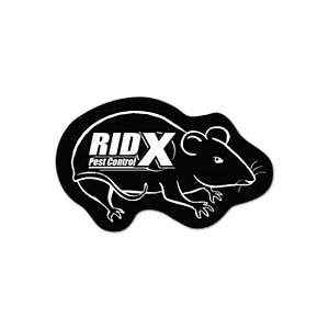 Rat/Mouse Rubber Jar Opener