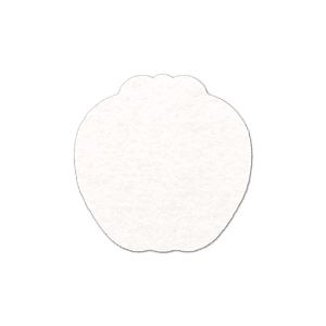 Apple Shammy Coaster