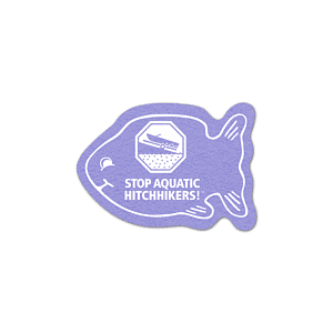 Fish Shammy Coaster