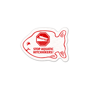 Fish Shammy Coaster