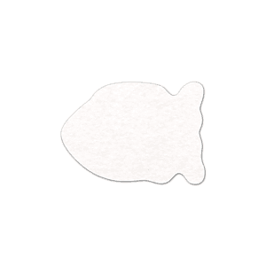 Fish Shammy Coaster
