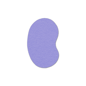 Kidney Shammy Coaster