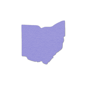 Ohio Shammy Coaster