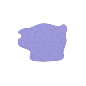 Piggy Bank Shammy Coaster