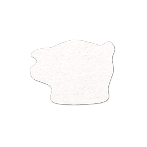 Piggy Bank Shammy Coaster