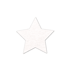 Star Shammy Coaster