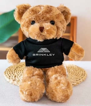 Plush Teddy Bear, 10"