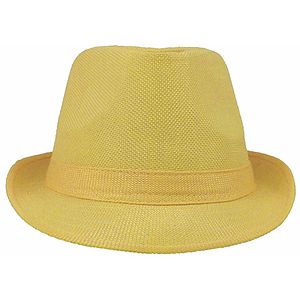 Fedora Hat