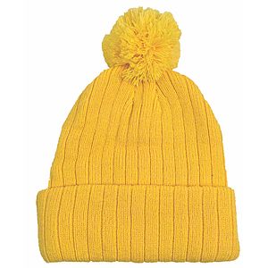 Beanie w/Pom