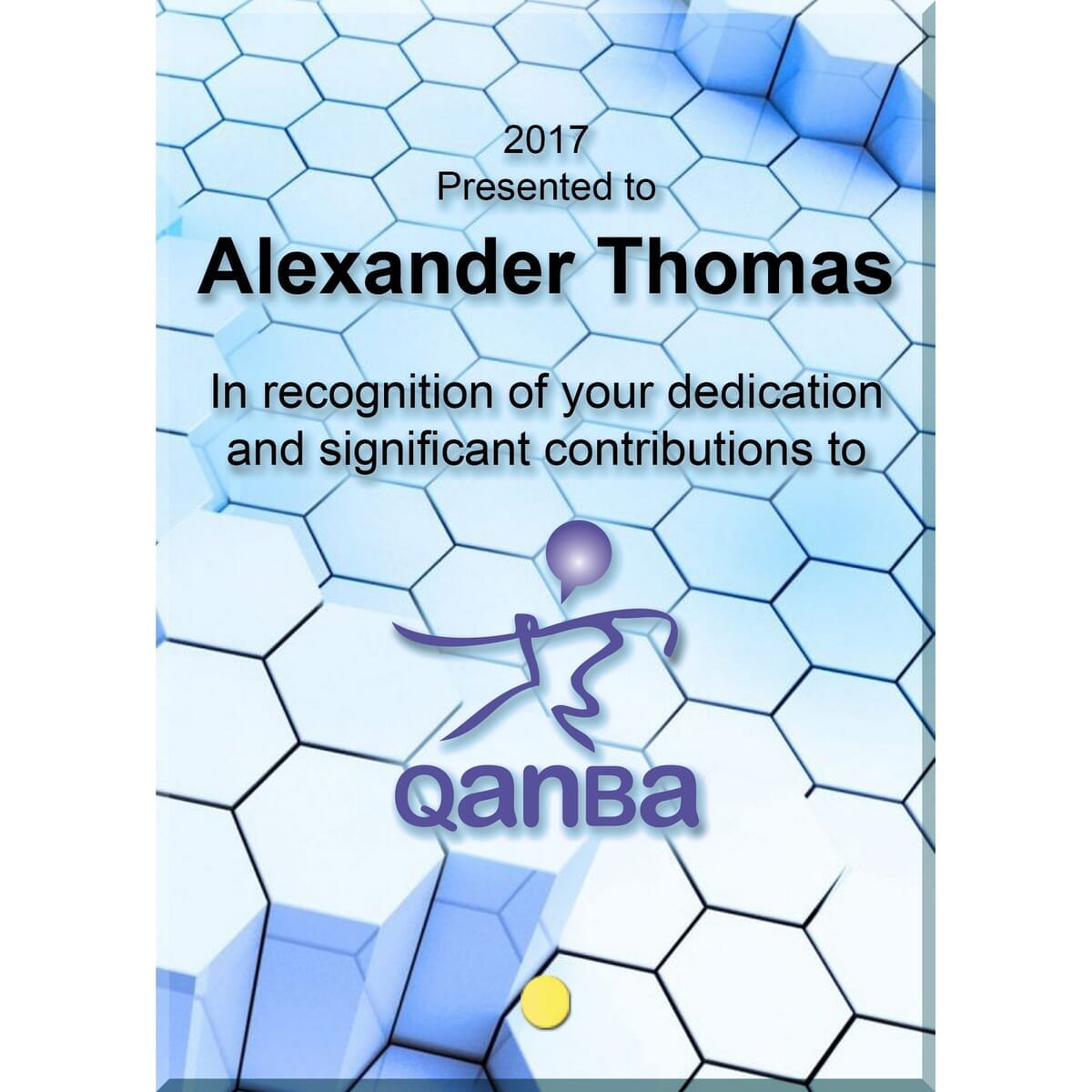 Vertical Rectangular Award with Pin (8"x10")