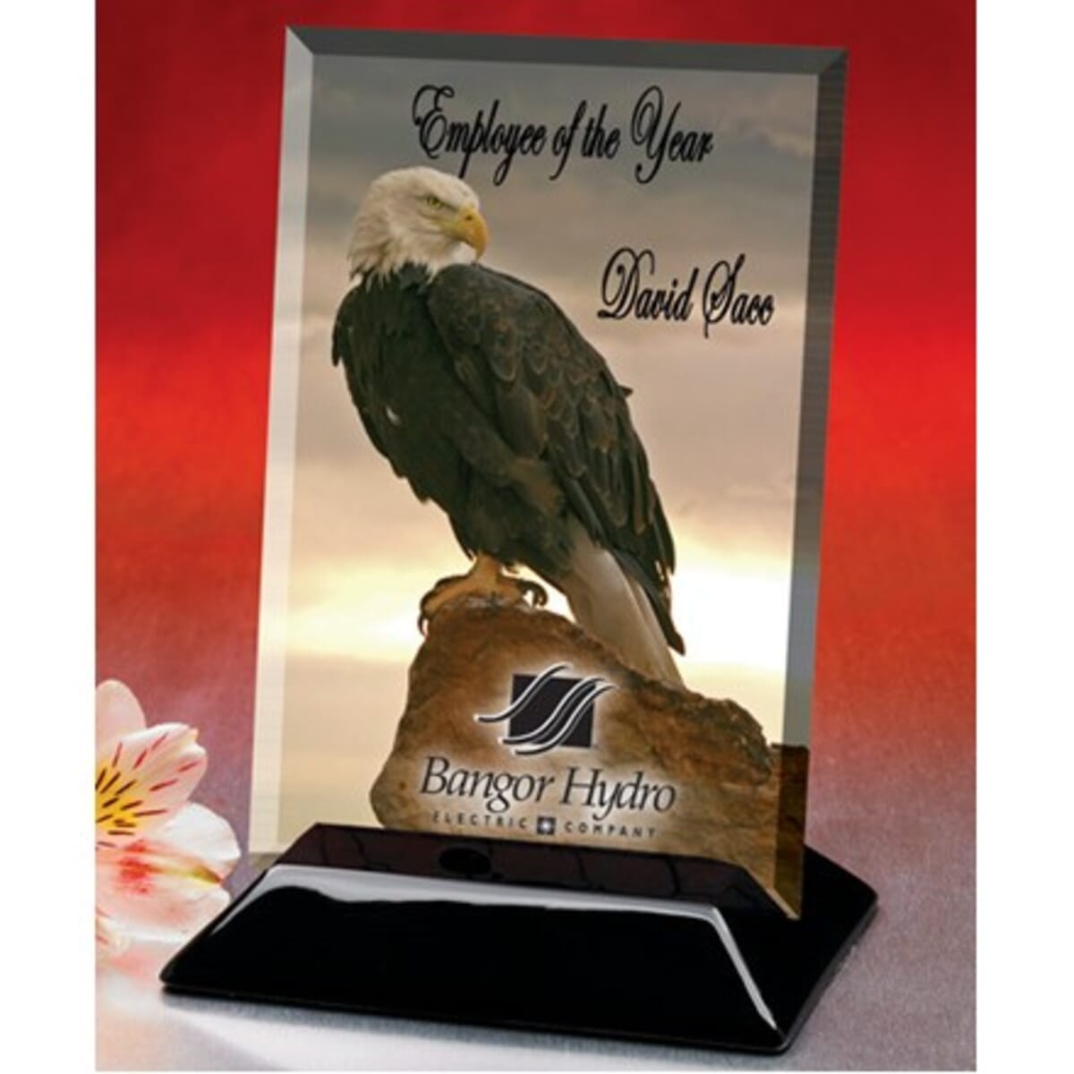 Beveled Rectangular Award (10"x12")