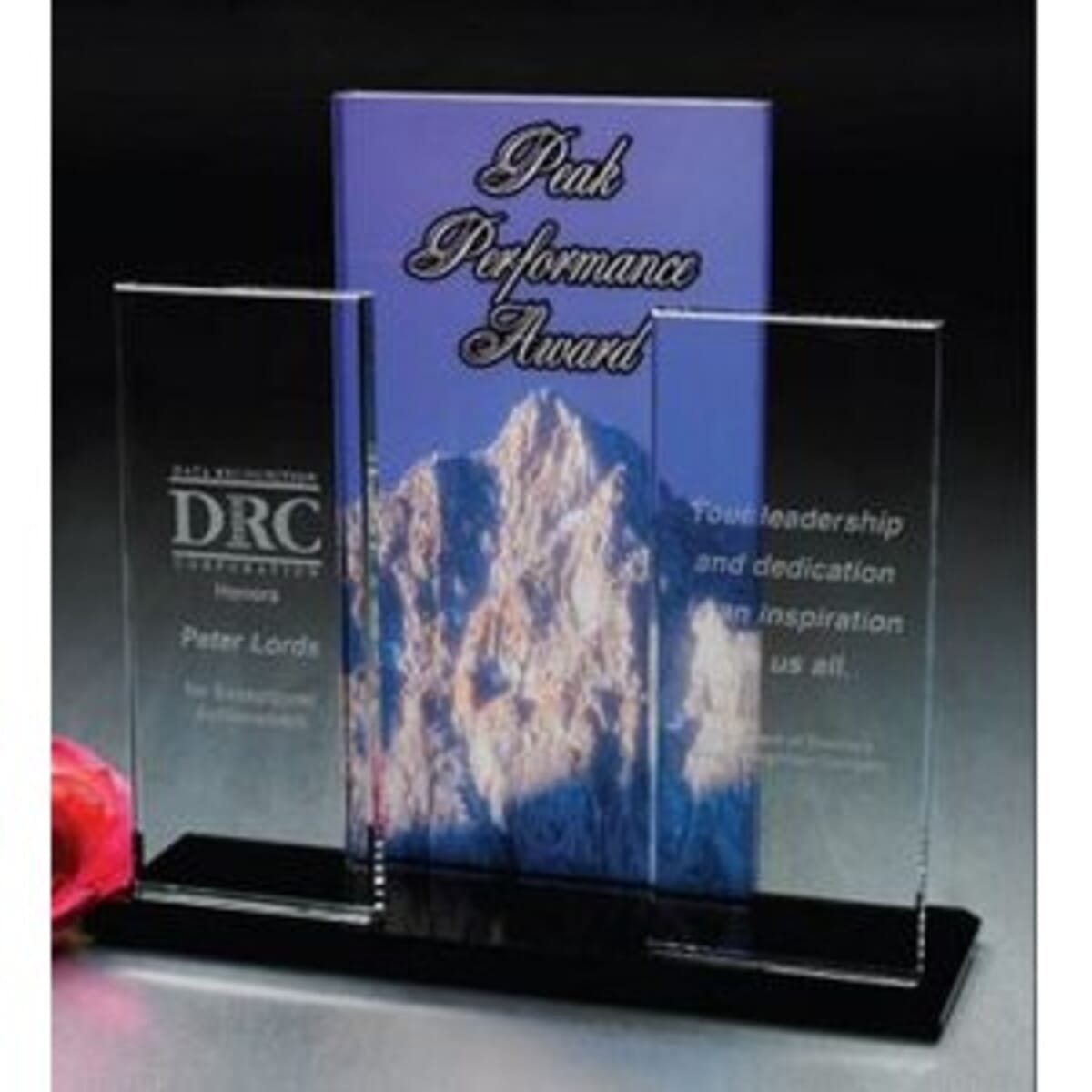 Tri-Panel Award