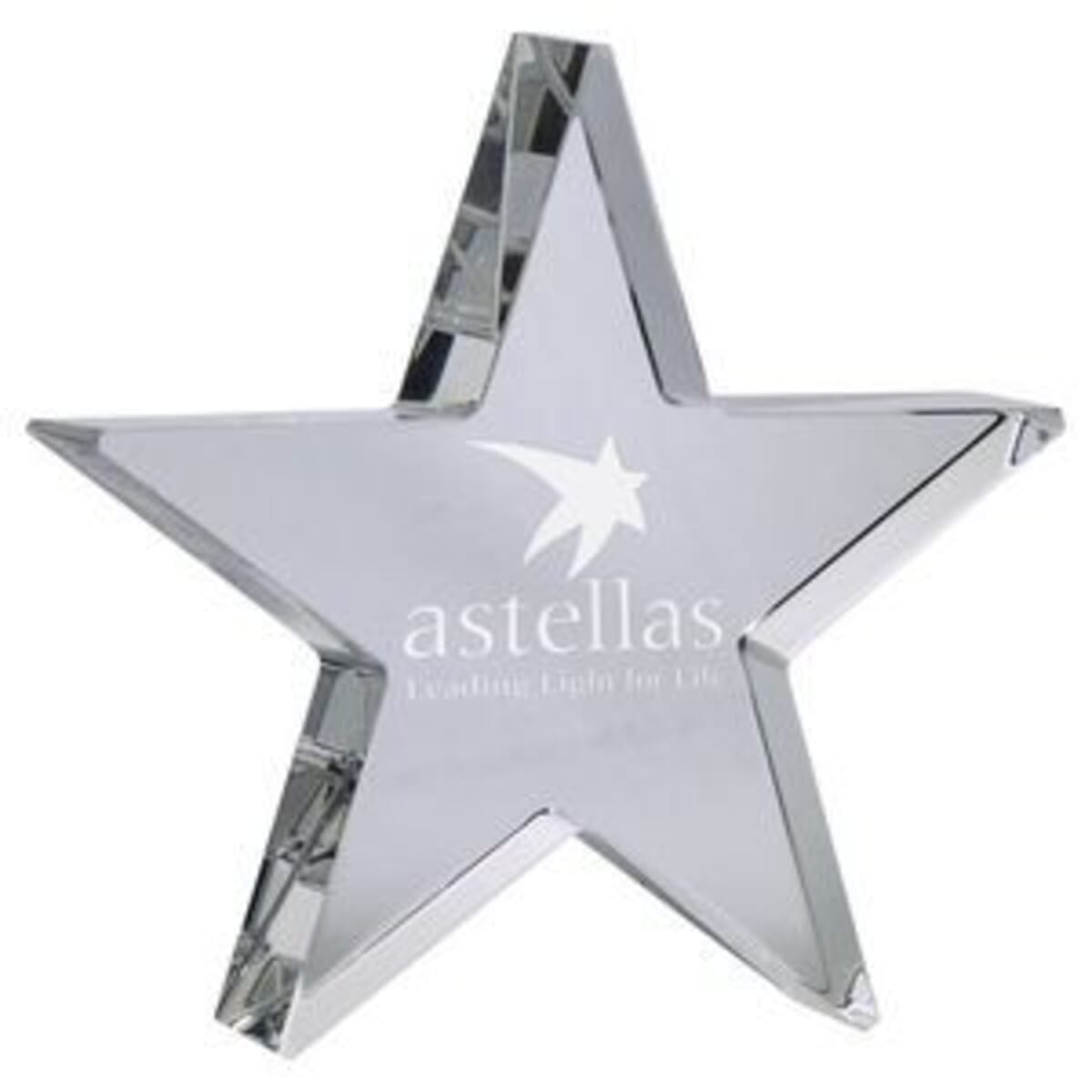 6" Optimaxx Self-Standing Star Award