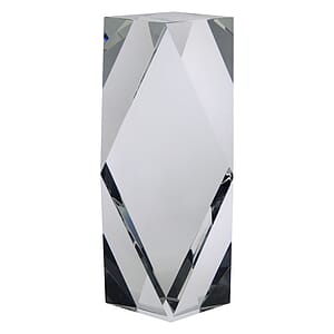 6" OptiMaxx Merit Award